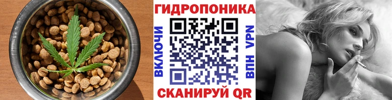Canna-Cookies марихуана  Сурск 