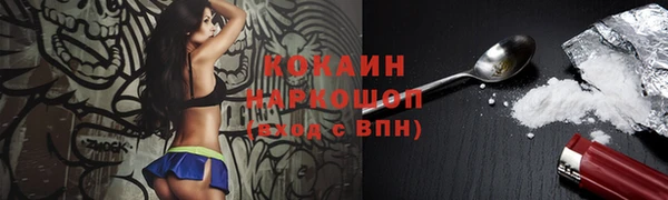 ГАЛЛЮЦИНОГЕННЫЕ ГРИБЫ Аркадак