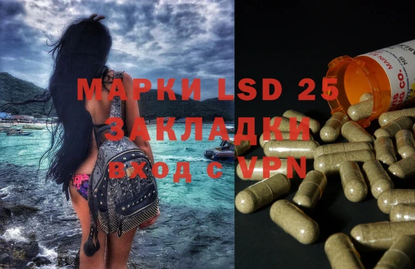 PSILOCYBIN Пересвет